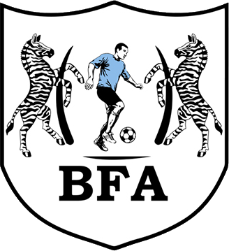 Botswana badge