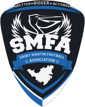 St Martin badge
