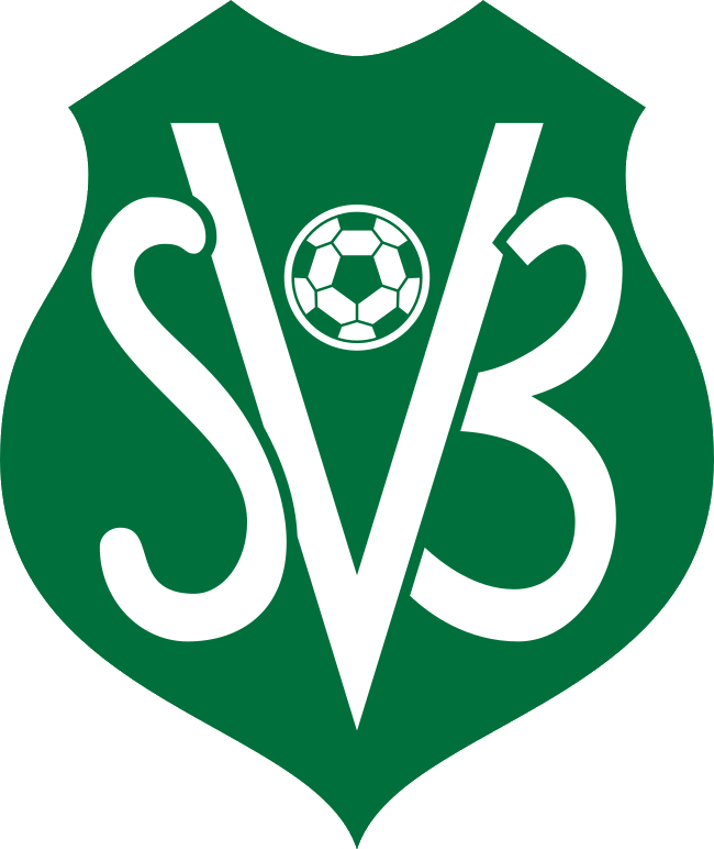 Suriname badge